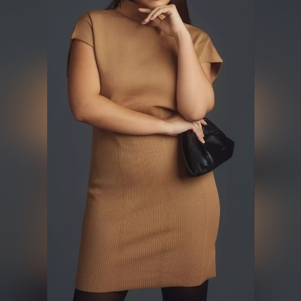 Anthropologie Mock Neck Cap Sleeve Mini Dress Cedar XL - Picture 7 of 16